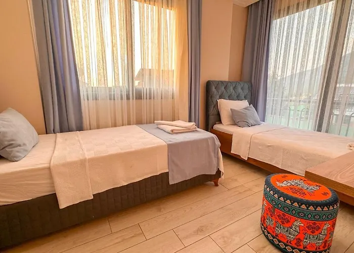 Dream 2 费特希耶